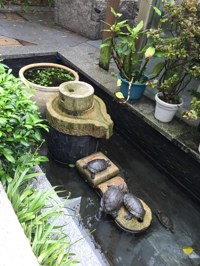 鼓浪屿自驾游全攻略,厦门鼓浪屿登岛全攻略