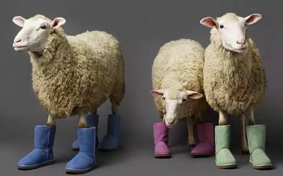 在北京什么地方可以买到澳洲ugg鞋 (ausheep ugg是澳洲品牌吗)