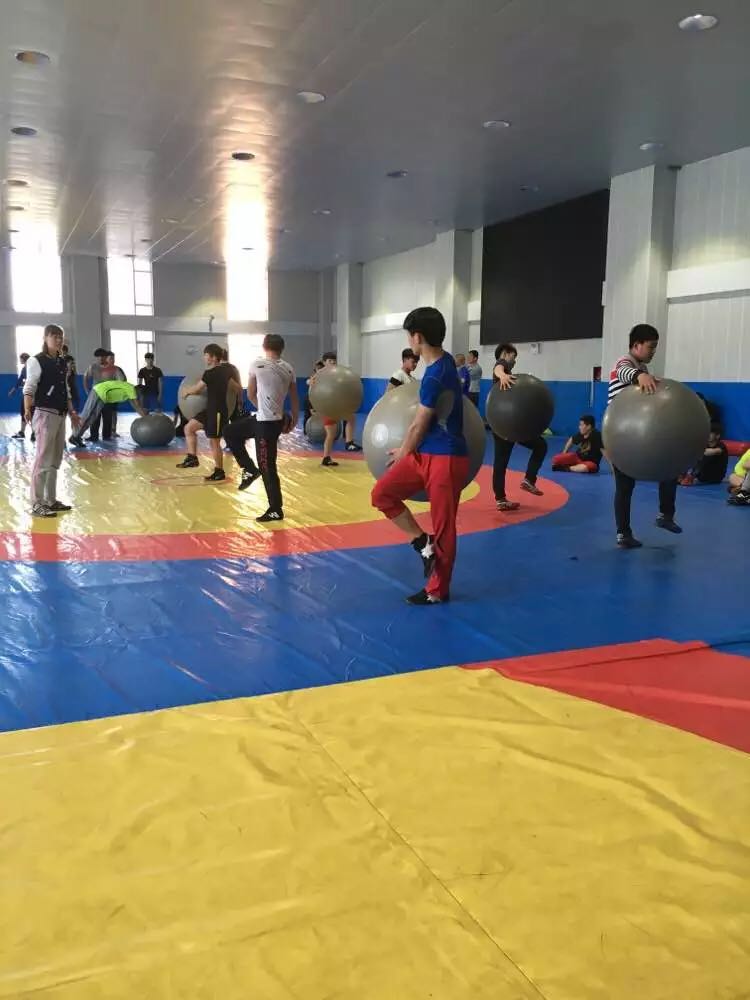 师生同堂学习石家庄市教练员培训出“新”招