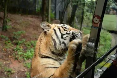 碧峰峡十月去耍怎么样,碧峰峡8月份雨季可以去耍吗
