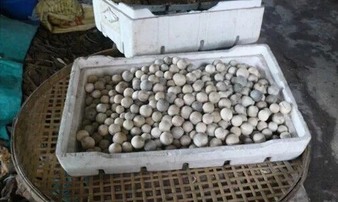 带你了解假沉香是怎么做的,假沉香制作视频