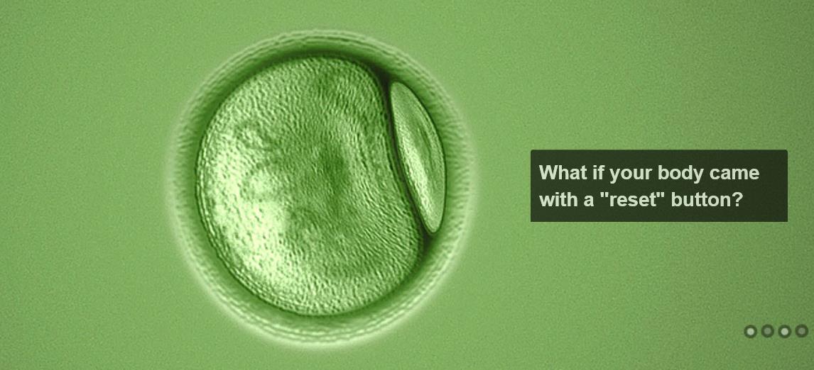 这家美国生物医疗公司准备做死人复活实验