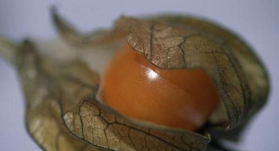 这些水果你一定不能错过,这些水果一定要多吃抓紧收藏