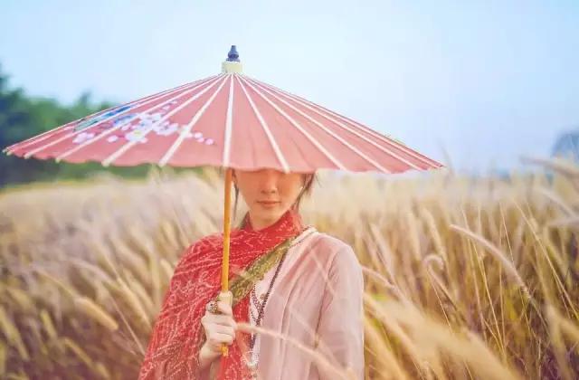 紫溪半岛,紫溪半岛花海