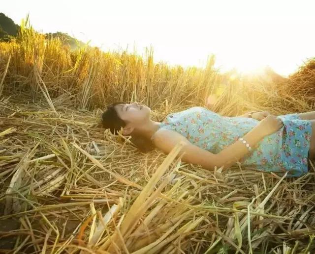 紫溪半岛,紫溪半岛花海