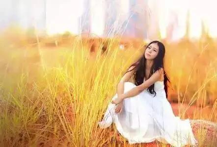 紫溪半岛,紫溪半岛花海