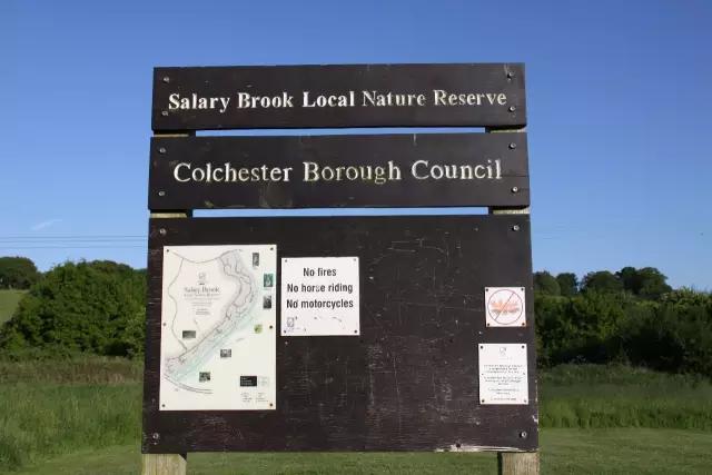 大学难忘的回忆视频,大学回忆