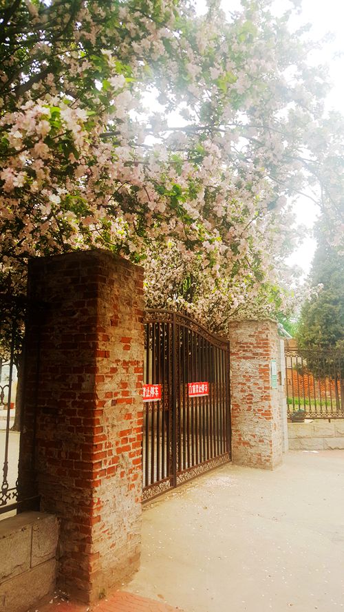 看乐亭小县城里的小市民，怎样装点生活