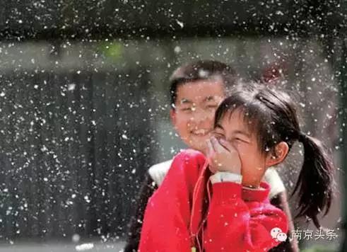 南京挺住,南京人抵御寒潮