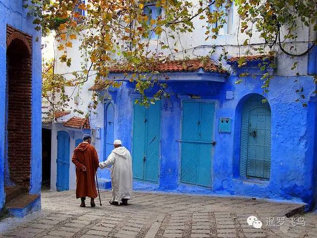 LP年度最佳三毛最爱北非后花园摩洛哥免签啦！