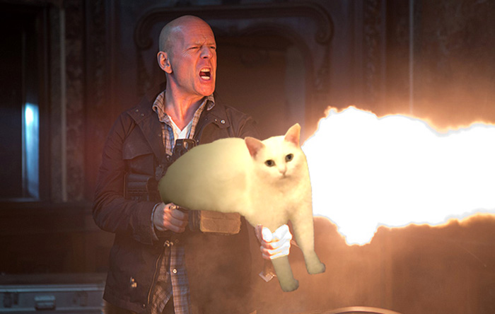 喵星人下楼梯魔性瞬间,被恶搞的喵星人