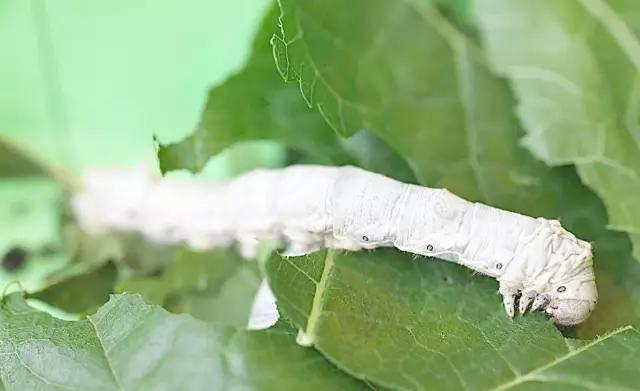 关于夏天的各种回忆，能看懂的都结婚了！