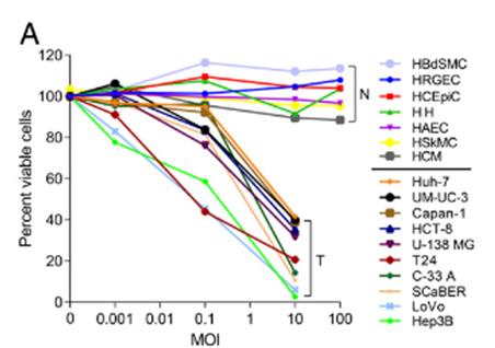 强行科普：病毒用于癌症治疗，黑科技还是大*局骗**