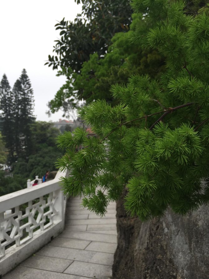 鼓浪屿自驾游全攻略,厦门鼓浪屿登岛全攻略