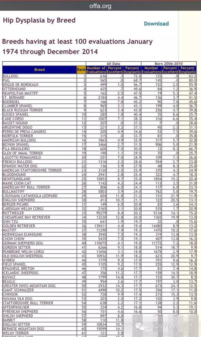 狗髋关节磨损的治疗方法,狗的髋关节你了解多少