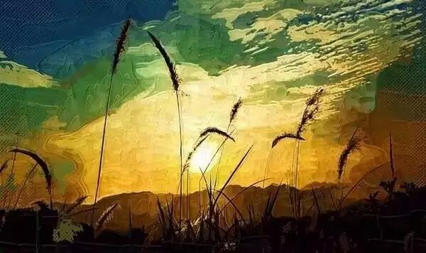 紫溪半岛,紫溪半岛花海