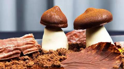 如果《欢乐颂》的故事发生在重庆，她们会怎么撕逼？