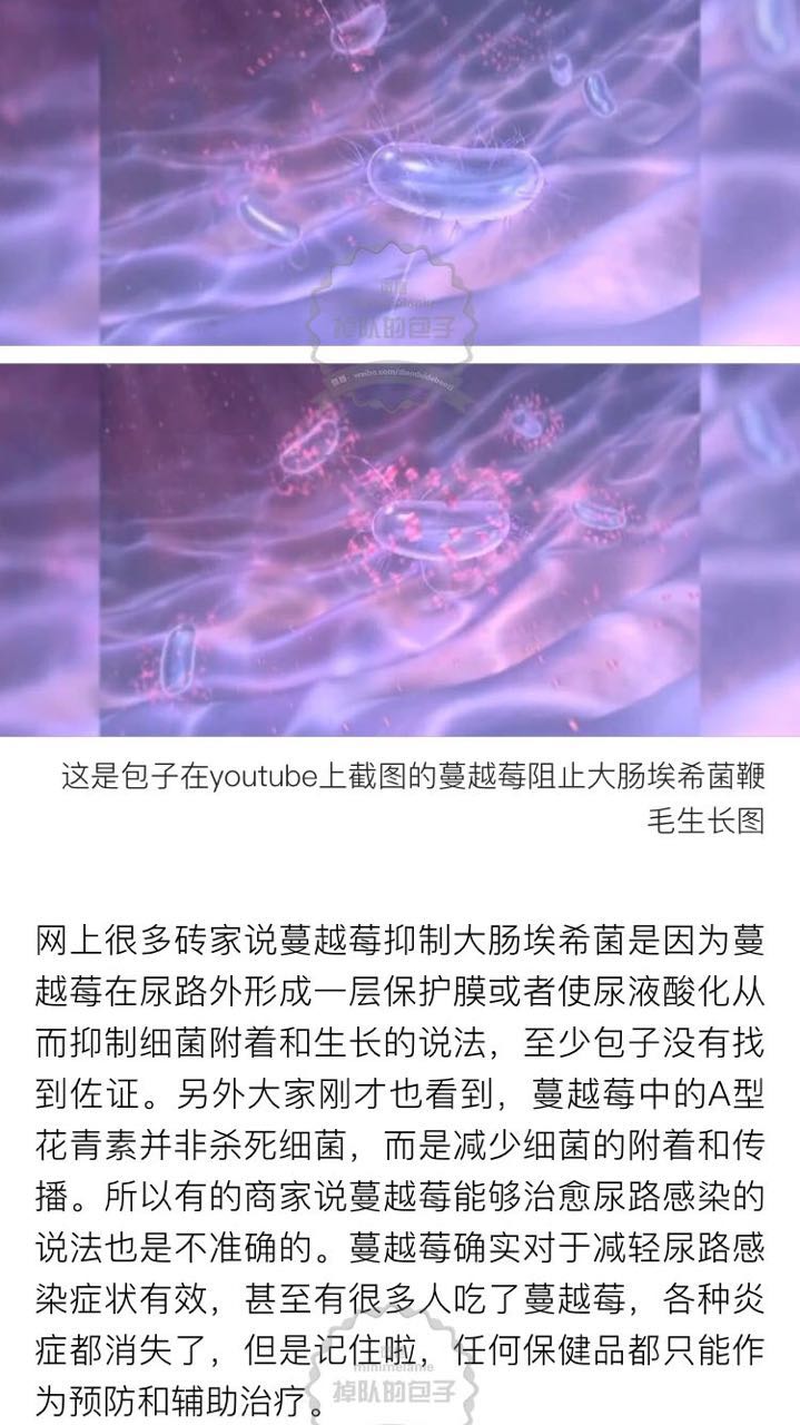 北美红宝石蔓越莓,北美红宝石蔓越莓干