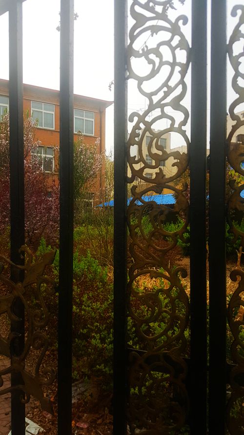 看乐亭小县城里的小市民，怎样装点生活