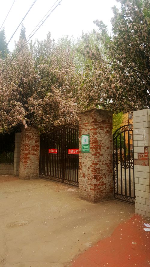 看乐亭小县城里的小市民，怎样装点生活