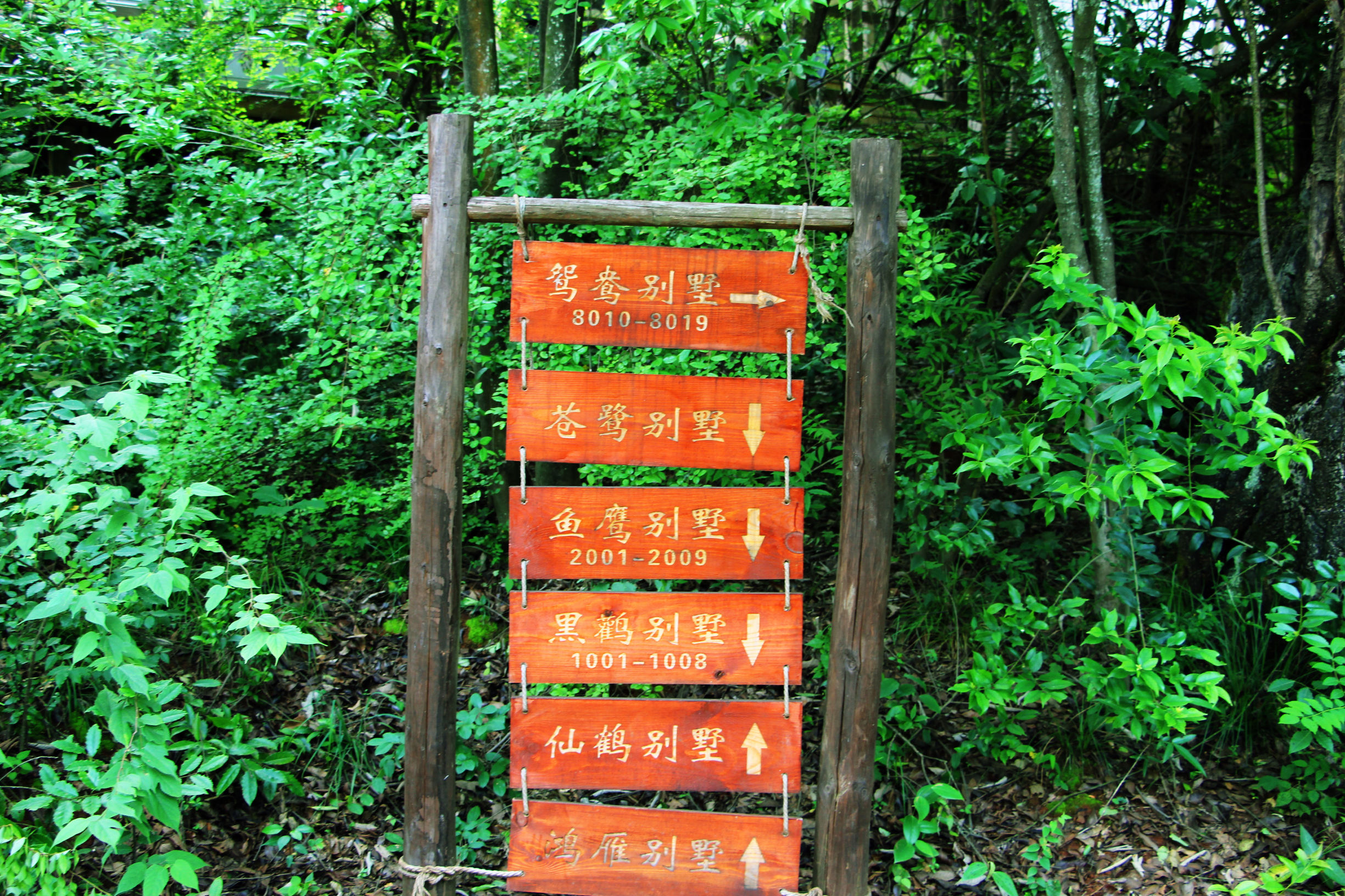 人间仙境东江湖,东江湖真的绝美