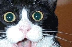 南京挺住,南京人抵御寒潮