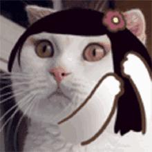 不是智商税的瘦脸神器,日本瘦脸神器pao真的有用吗