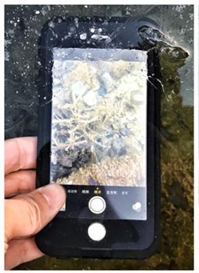 苹果6s和6手机壳有什么不一样吗,iphone6s手机壳1分钱