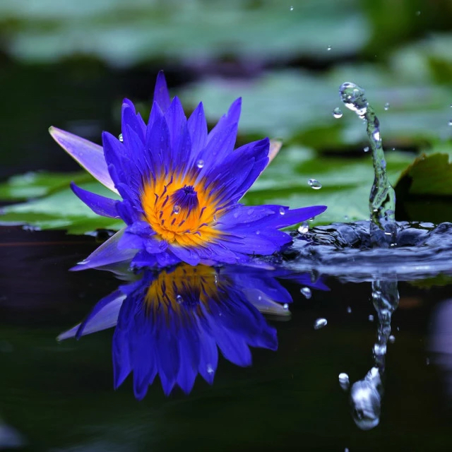 释迦牟尼佛的三十六道轮回,今天是释迦牟尼佛涅盘日吗