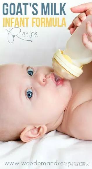 澳洲奶粉问题最新,澳洲奶粉详细攻略