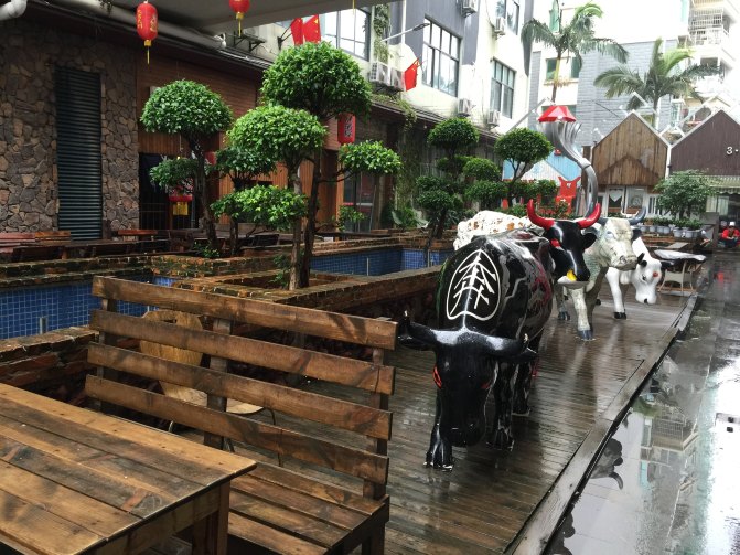 鼓浪屿自驾游全攻略,厦门鼓浪屿登岛全攻略