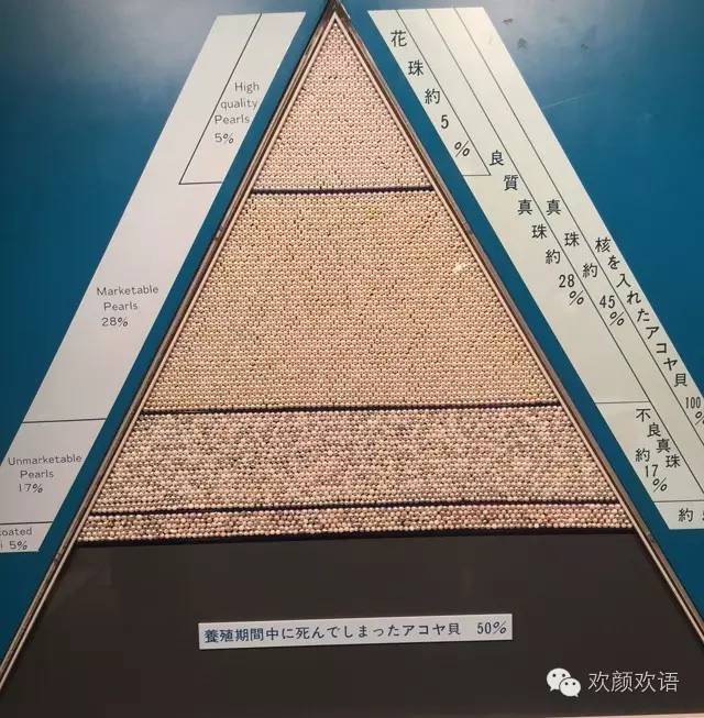 去日本必买的珍珠,去日本旅游需要买珍珠吗