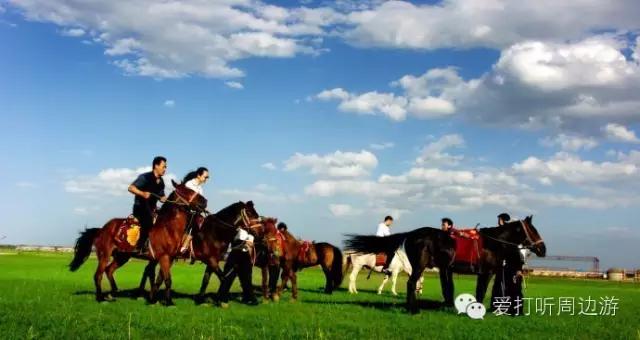 张北中都草原一日游,张北草原旅游越野
