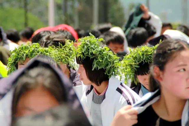 昨天，丽江这所学校激情四溢、尖叫连连，在干啥？