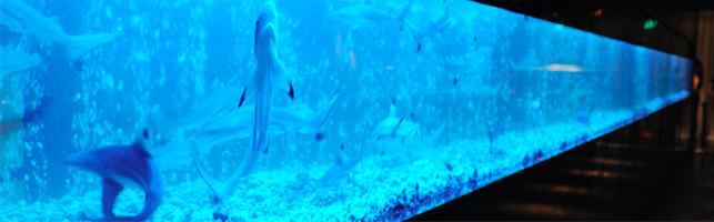 欢乐颂五美安迪家吃火锅第几集,欢乐颂五美齐聚吃火锅