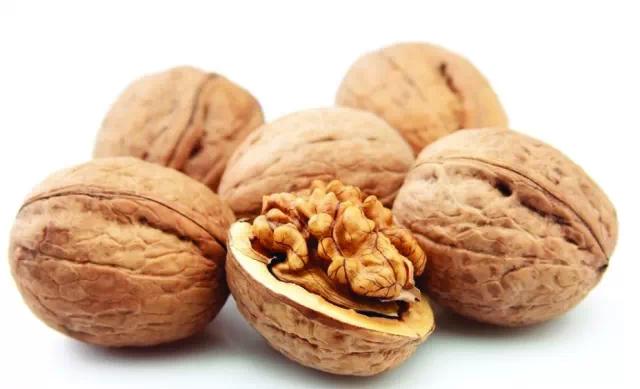 核桃全身都是宝顺口溜,核桃浑身是宝