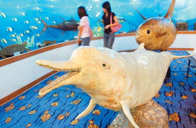 在广州有哪些适合亲子三天游,广州2大2小亲子游推荐攻略