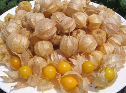 这些水果你一定不能错过,这些水果一定要多吃抓紧收藏