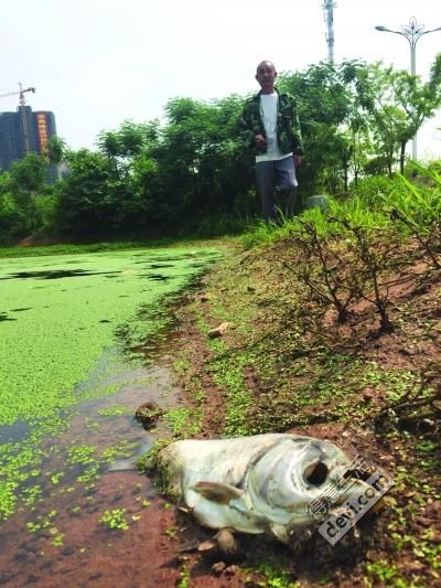 武汉网约车不办etc可以走高速吗,武汉etc要取消是真是假