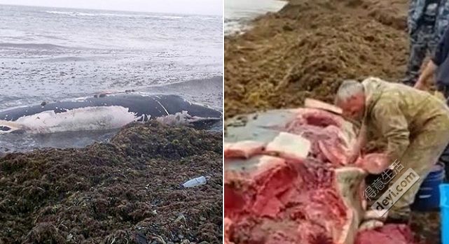 武汉网约车不办etc可以走高速吗,武汉etc要取消是真是假