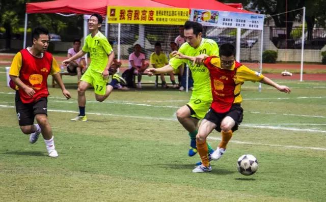 策划1000次求婚,策划已久的求婚终于得到落实