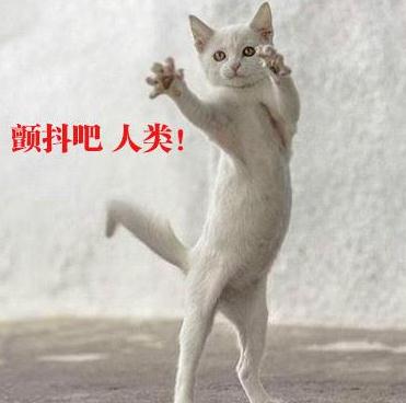 日本最重口味美食满满的全是口水,日本美食勾引你的味蕾