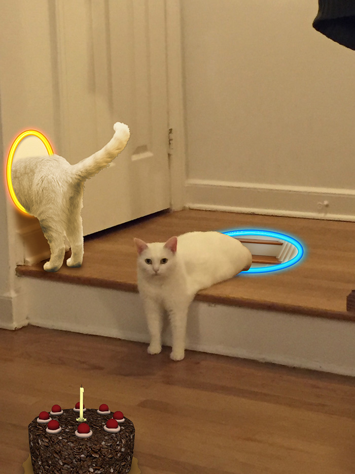 喵星人下楼梯魔性瞬间,被恶搞的喵星人