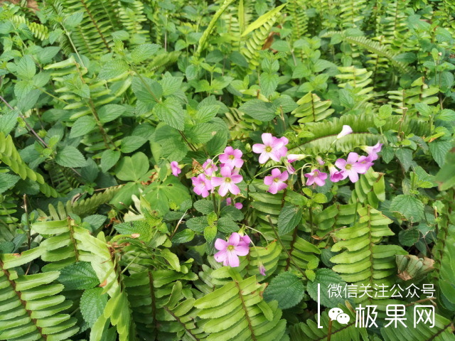 还在纠结买什么手机壳吗,还在纠结买什么东西