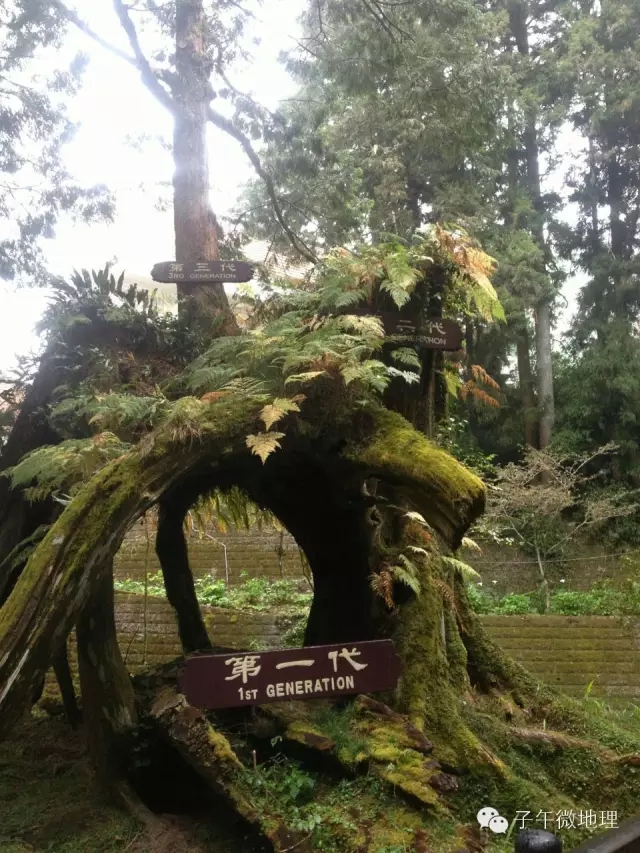 日本*国靖**神社用什么材料做的，你知道吗？