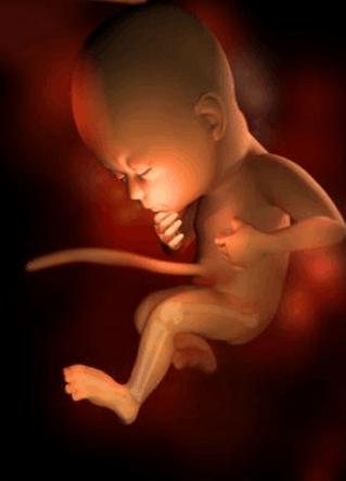 怀孕29周应该关注事项,怀孕29周胎儿多大算是正常