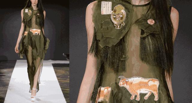 12生肖驾到视频,十二生肖迎接高光时刻