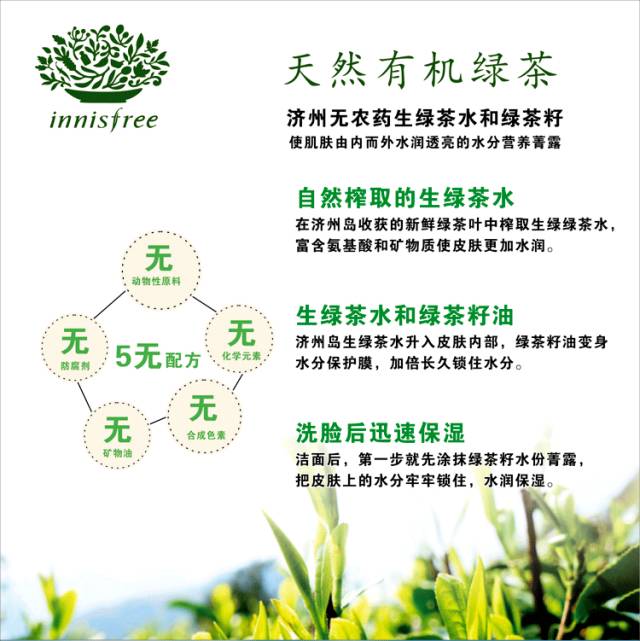 innisfree悦诗风吟新绿茶精萃,innisfree悦诗风吟小样水乳
