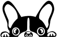 天气要回暖了？湿冷入髓！没有最冷只有更冷！至于广州再飘雪？不存在的！丨新闻早茶