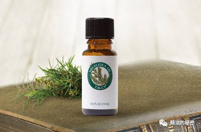 各种精油功效,有什么护肤精油好用